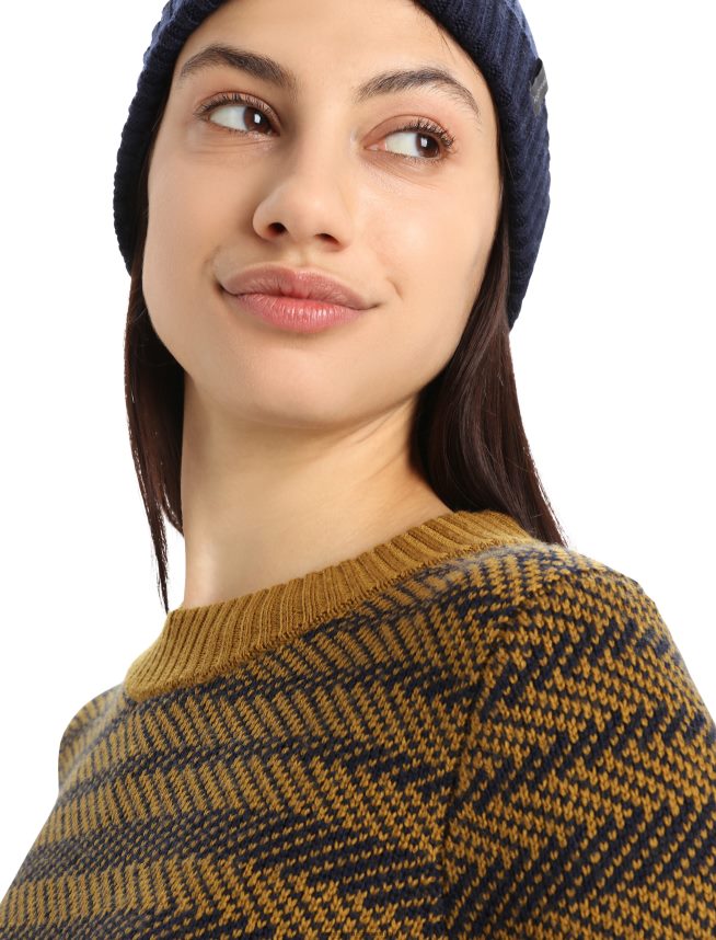 Icebreaker îmbrăcăminte cuișoare/blumarin la miezul nopții femei pulover merino waypoint crewe DL46T823