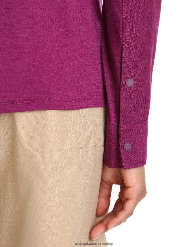 Icebreaker îmbrăcăminte du-te boabe femei top cu mânecă lungă merino hike DL46T692