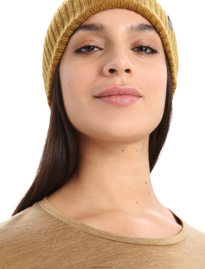 Icebreaker îmbrăcăminte erica cu cuișoare femei tricou cu mânecă lungă merino sphere ii DL46T900